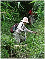 2008-3-30 下午 02-13-14-下山了9.jpg